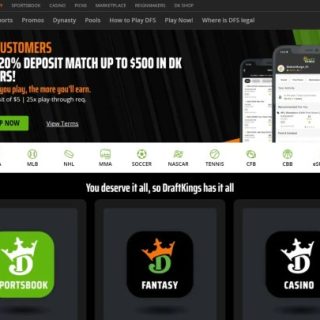 Top betting sites for gamers and bettors