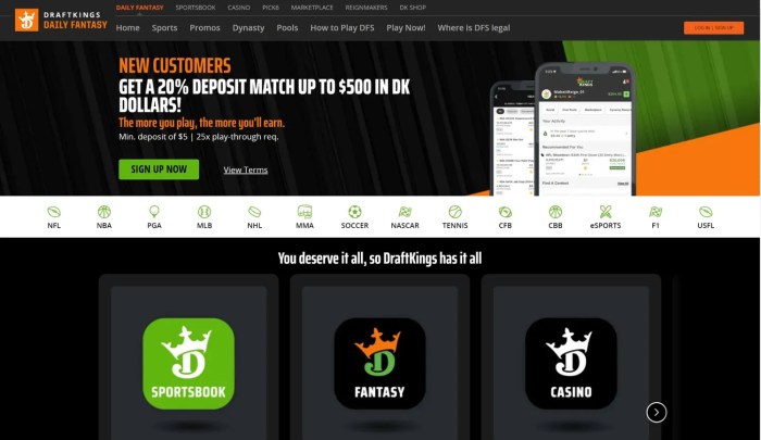 Top betting sites for gamers and bettors